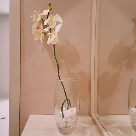 Pedras Do Mar & Fenais da Luz