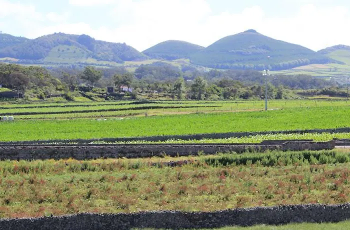 Pedras Do Mar & Resort Fenais da Luz
